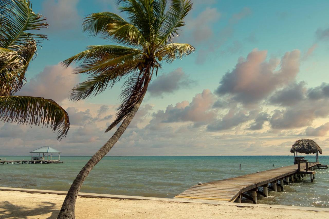 White Sands Cove San Pedro (Ambergris Caye) Exterior foto