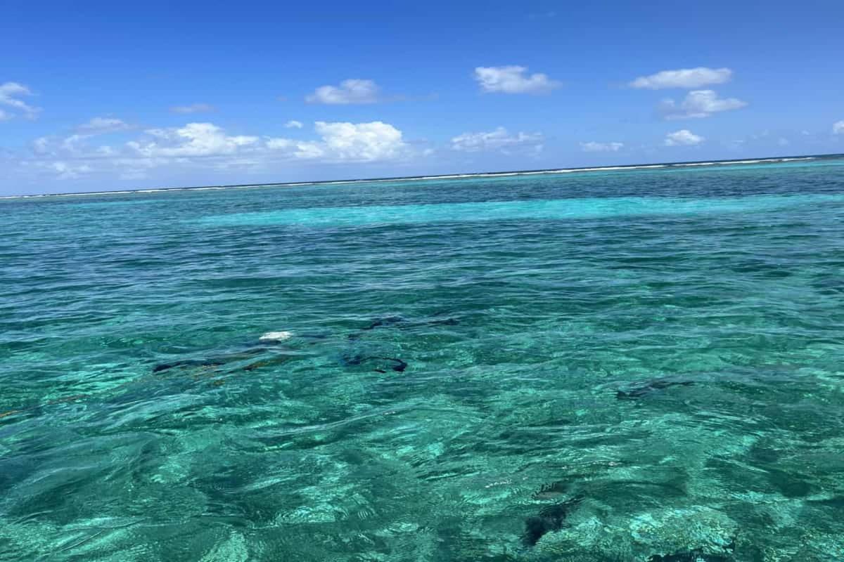 White Sands Cove San Pedro (Ambergris Caye) Exterior foto