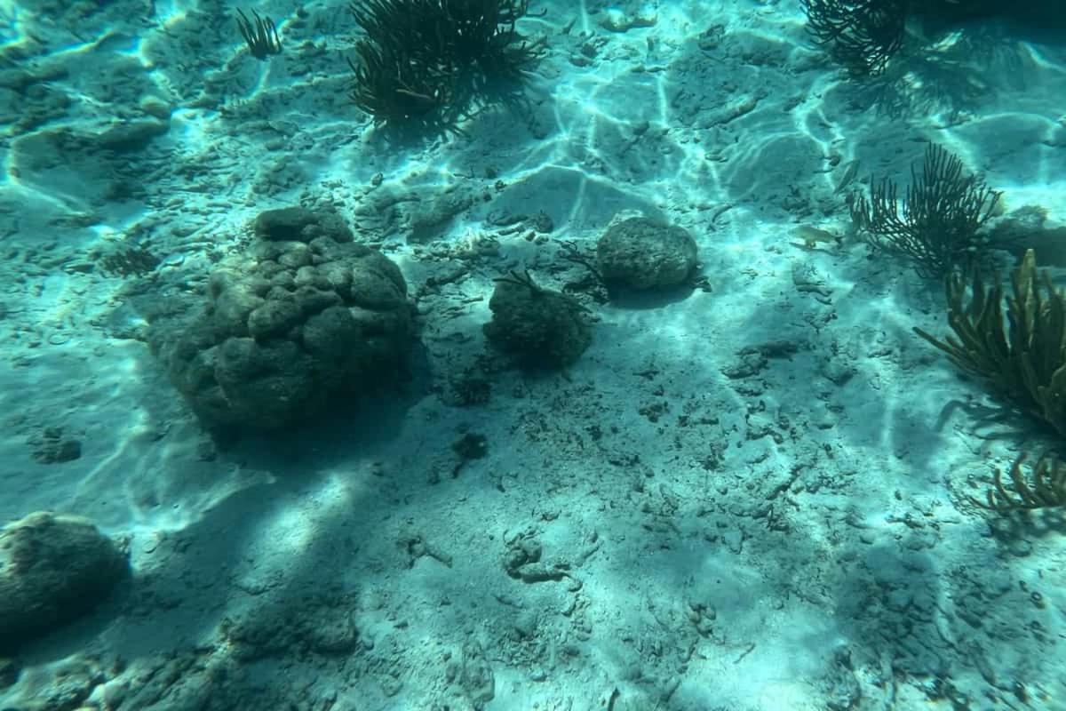 White Sands Cove San Pedro (Ambergris Caye) Exterior foto