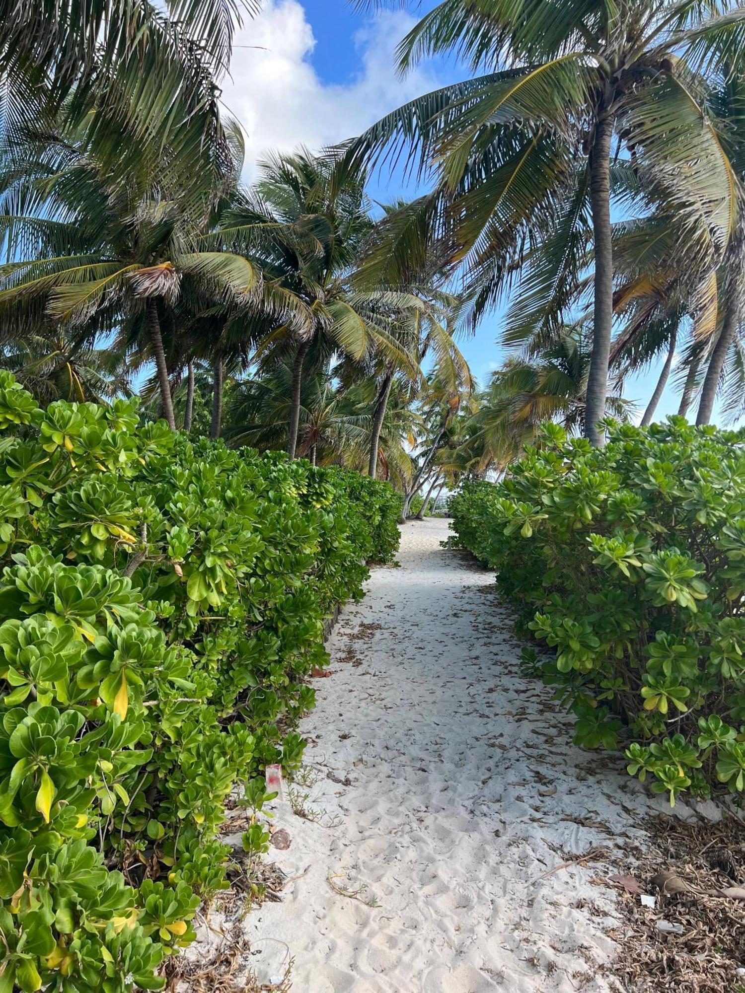 White Sands Cove San Pedro (Ambergris Caye) Exterior foto