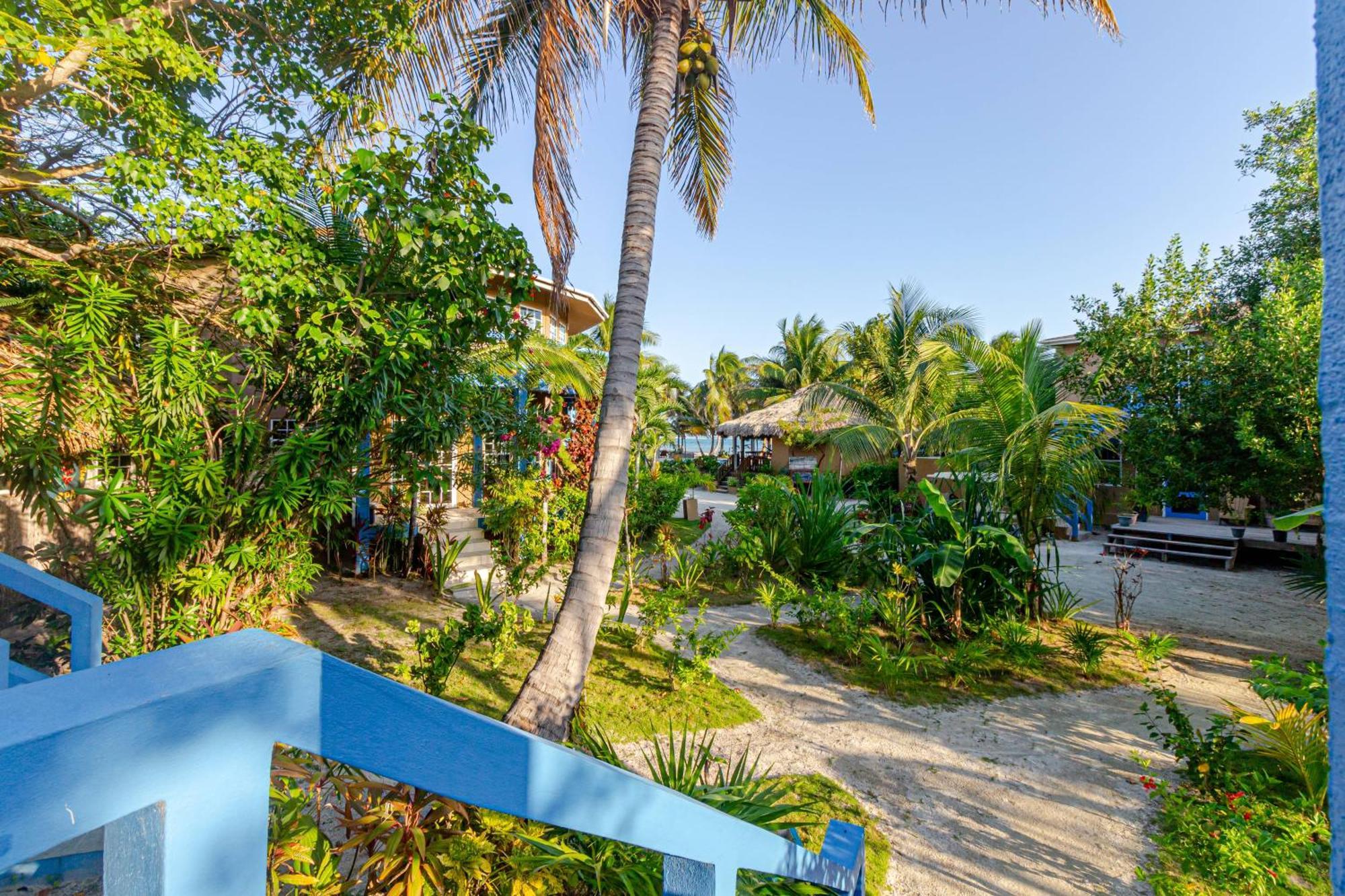 White Sands Cove San Pedro (Ambergris Caye) Quarto foto